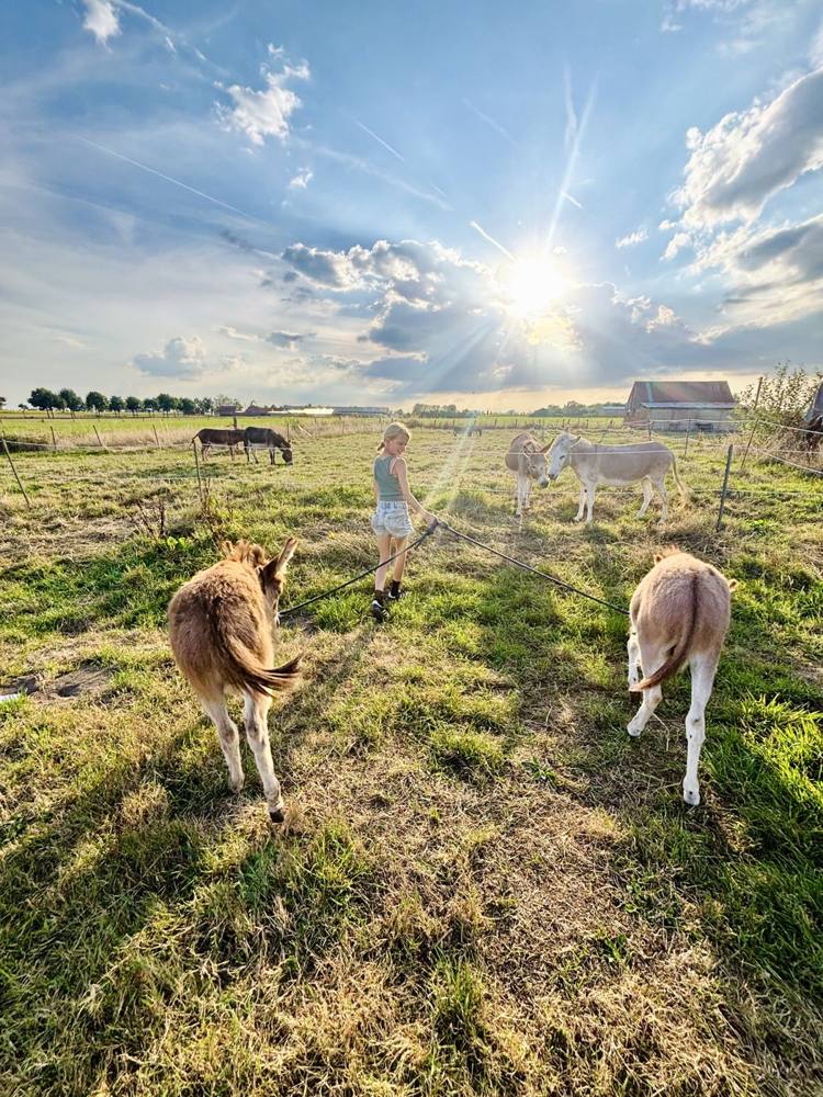 Kinderen spelen buiten op de boerderij in Oedelem