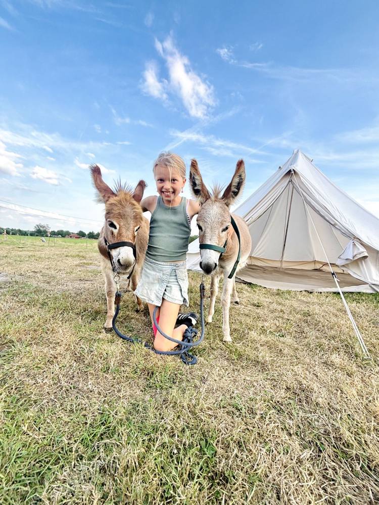 Creatieve buitenkampen voor kinderen op de boerderij van Zeekrekel